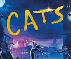 Cats 2019