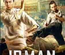 Ip Man The Awakening 2022